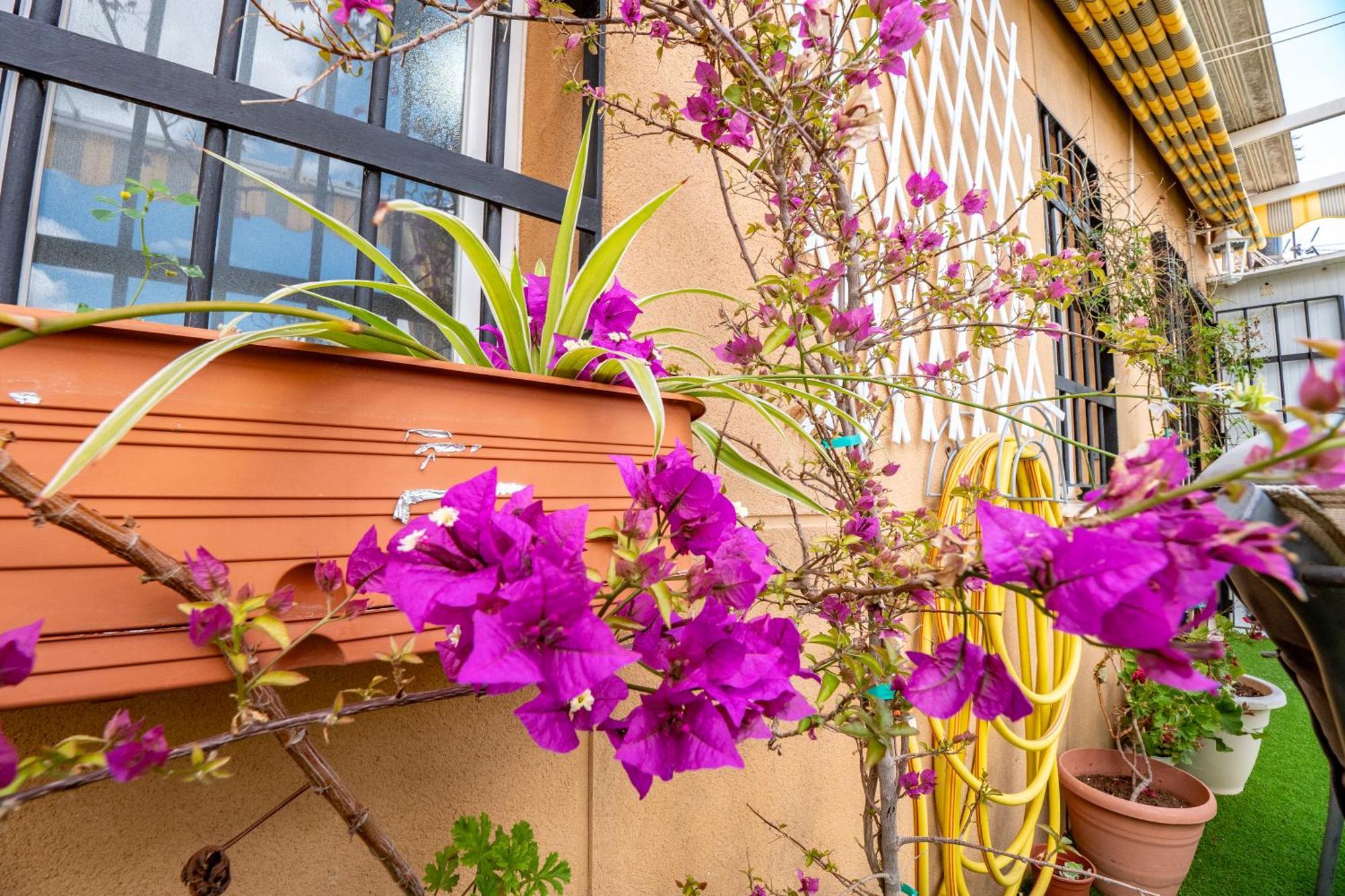 Apartamento Atico Con Terraza Junto A La Catedral Huelva Exterior foto